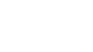 audisport