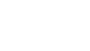 jalopnik